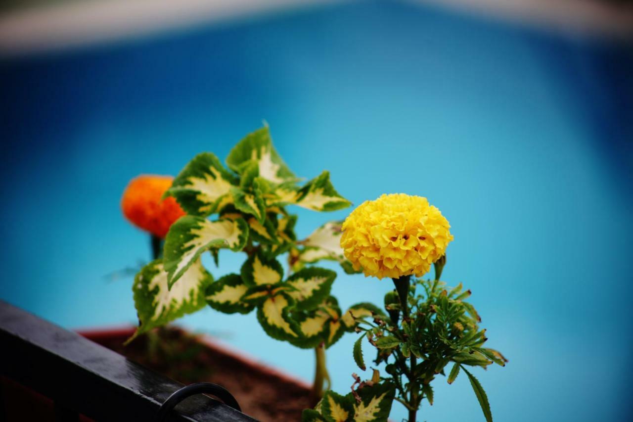 Can Otel Bodrum Luaran gambar